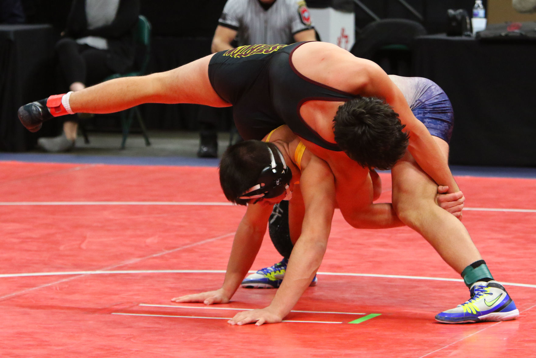 Gallery: Wrestling State Finals